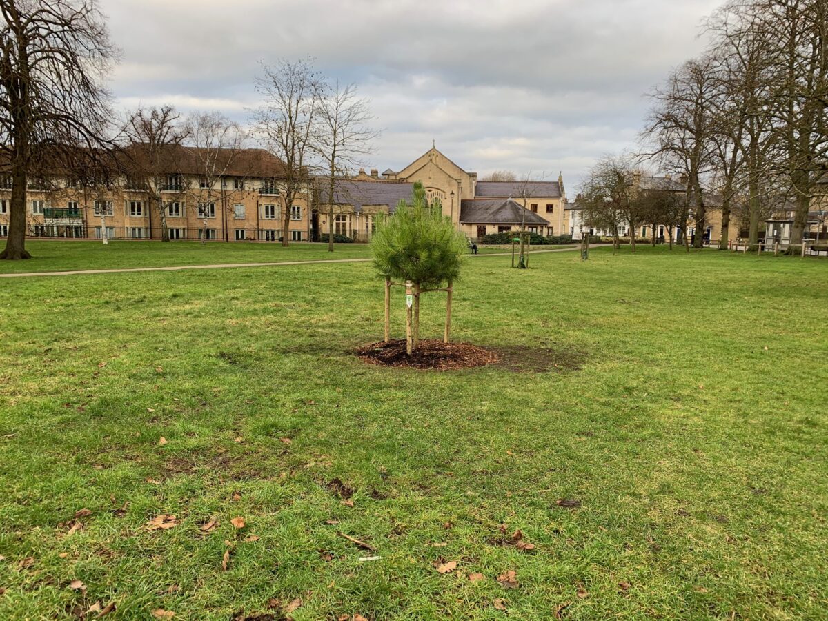 The #TuringTree in place…